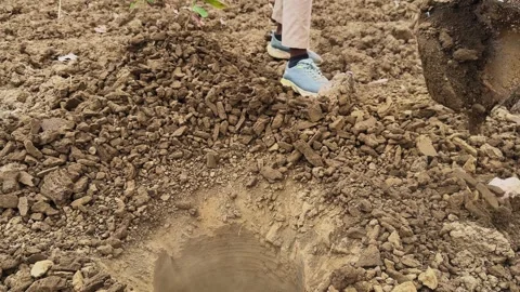 Auger Drill Bit Lifting Out of Soil with Loose Earth Stock Footage 334463028