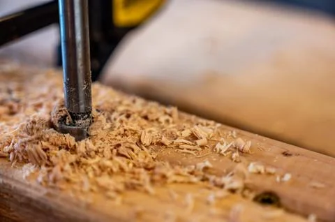 Auger hole cross section in pine stud 스톡 사진