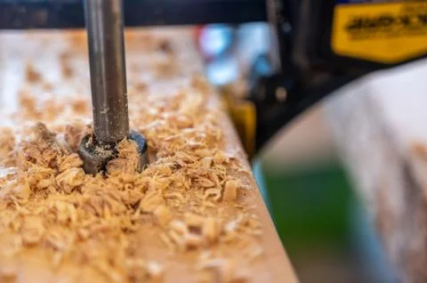Auger hole cross section in pine stud Foto stock