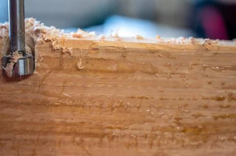 Auger hole cross section in pine stud 스톡 사진