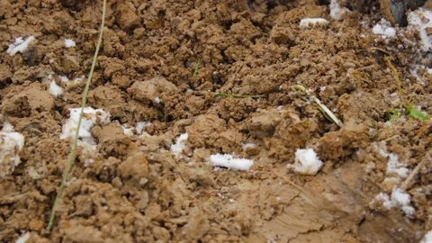 The auger on a portable drilling rig and soils. Geology. Video stock 72375415