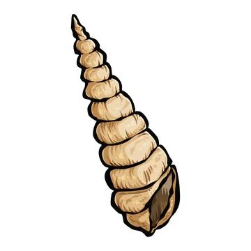 Auger sea shell vector art illustration. イラスト素材