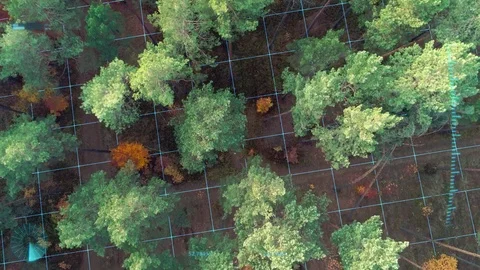 Augmented reality drone shot collecting forestry data Vidéo 103697965