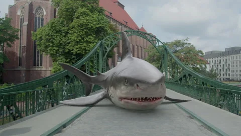 Augmented reality. Huge shark in the middle of the city Vidéo 277866167