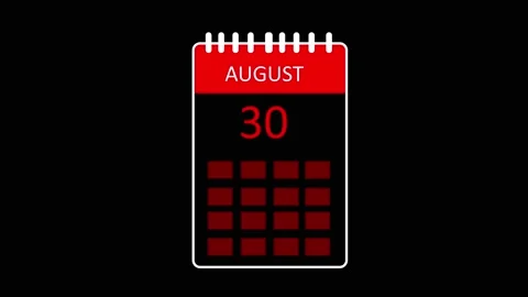 August 16th calendar page marks international business appointment dates. D.. Stock Footage 337817234