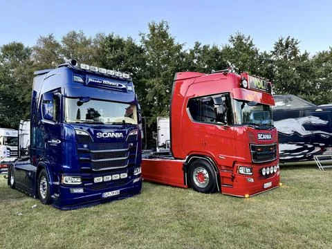 August 23, 2025 Bockhorn, Lower Saxony, Germany A photo of two beautiful Sc.. Stock Photos