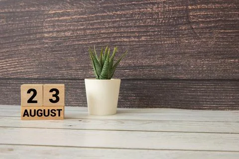 August 23rd. Image of august 23, calendar Stock Photos