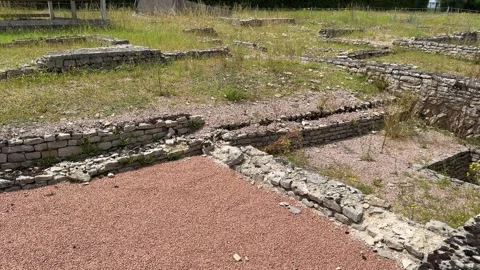 August 9, 2025 - Alise-Sainte-Reine, France - Ancient Alesia Roman ruins Stock Footage 338054452