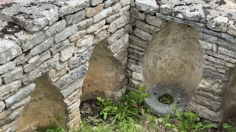 August 9, 2025 - Alise-Sainte-Reine, France - Ancient Alesia Roman ruins Stock Footage 338054456