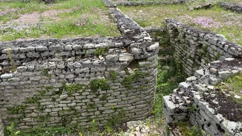 August 9, 2025 - Alise-Sainte-Reine, France - Ancient Alesia Roman ruins Stock Footage 338054457