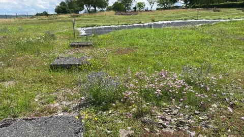August 9, 2025 - Alise-Sainte-Reine, France - Ancient Alesia Roman ruins Stock Footage 338054488