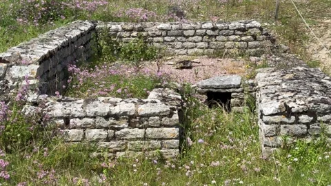 August 9, 2025 - Alise-Sainte-Reine, France - Ancient Alesia Roman ruins Stock Footage 338054513