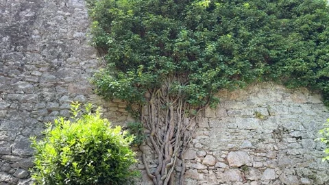 August 9, 2026 - Girona, Spain - Ancient defensive walls of Girona 库存影片 338140807