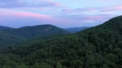 August Evening Flight Long Clip Stock Footage 159477053