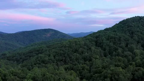 August Evening Flight Short Slight Lift Vidéo 159476991