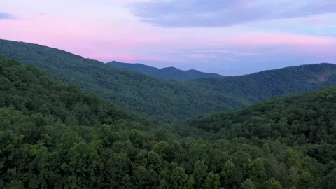 August Evening Flight Short Sweep Stock Footage 159476999