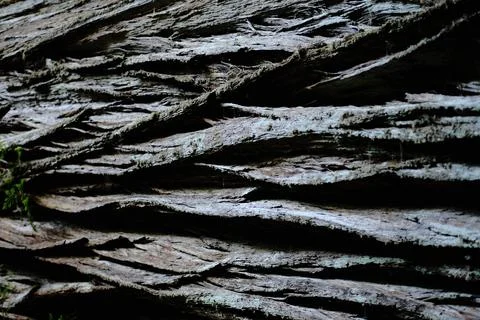 August forest landscape, Ridgeway Stock Photos