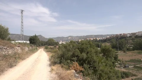 The august road surrounded by olive trees Stock Footage 115830170