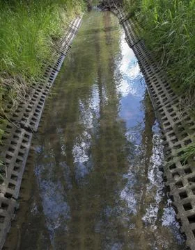 Auma, Aumatal, Germany, Greiz, Thuringia, Bach, Brook, rivers, river expansion, Stock-Fotos