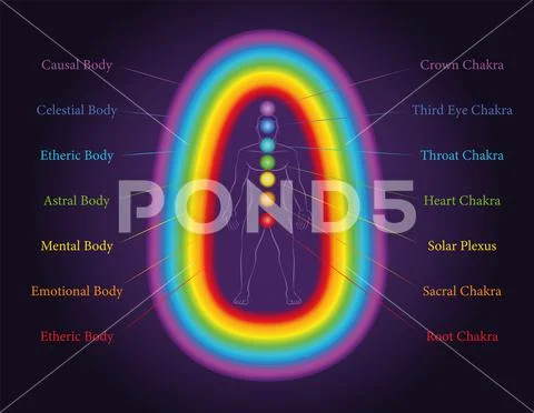 Aura Bodies Seven Layers Chakras Man Illustration #153474624