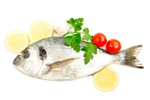 Aurata fish Фото