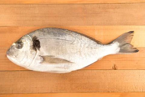 Aurata fish Stockfoto's