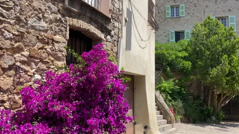 Auribeau 1 Stock Footage 197476916