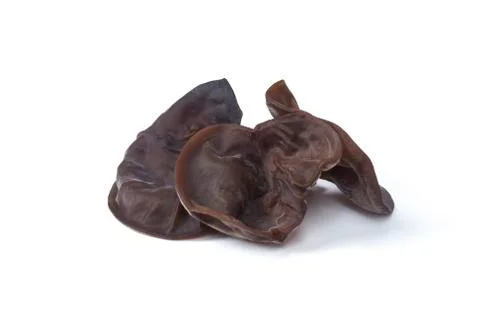 Auricularia auricula-judae Stock Photos
