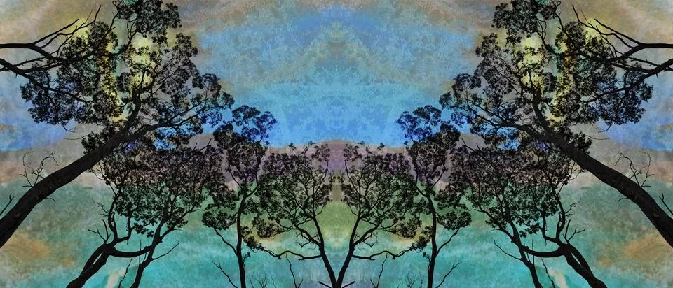 Aurora above the forest Stock Illustration