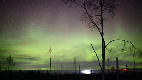 Aurora and lights over the forest Stock Footage 150873016