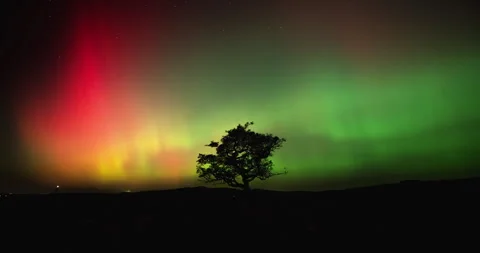 Aurora and silhouette of lonely tree Stock Footage 296680596