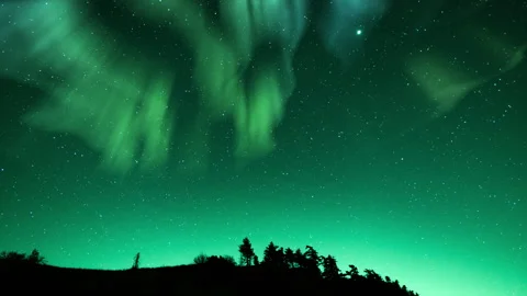 Aurora and Starry Sky Galactic Dreams Above Mountain Forest Loop 8K Stock Footage 308487727