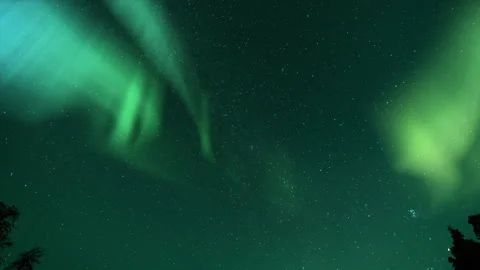 Aurora and Starry Sky Galactic Embrace Over Trees Loop 8K Stock Footage 333458896