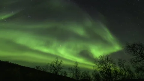 Aurora Borealis bands overs the trees Stock Footage 250294548