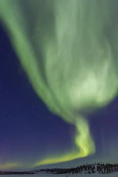 Aurora Borealis with bright lights over trees at Great Slave Lake in Northwest Stock-Fotos