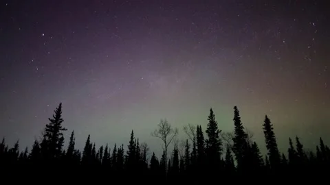 Aurora borealis dances over tranquil forest. Stock Footage 310030129