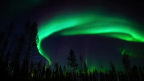 Aurora Borealis Display Over a Forest Stock Footage 285307883