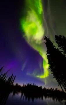 The Aurora Borealis Explodes In The Sky Above The Clearwater River In Delta Junc Stock Photos
