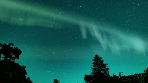 Aurora Borealis Green Loop Above Trees Green Sky Northern Lights Stock Footage 156645832
