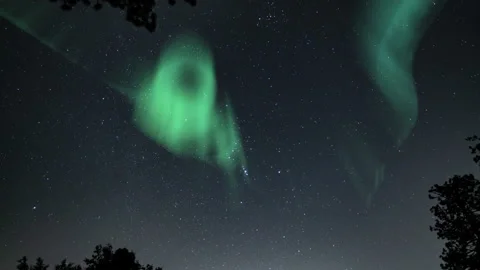 Aurora Borealis Green Loop Looking Up Trees Northern Lights Stock Footage 150906298