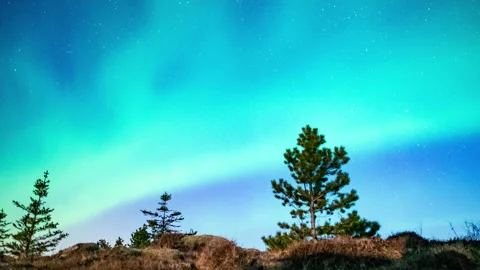 Aurora borealis in Iceland Stock Footage 154863430