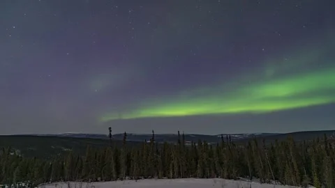 Aurora Borealis Over the Alaskan Forest Stock Footage 306989764
