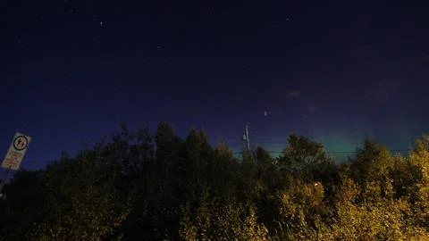 Aurora borealis over the forest Stock Photos