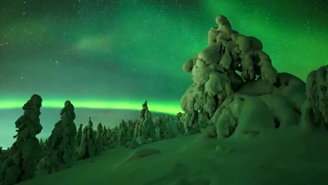 Aurora borealis over snowy pine forest at night Stock Footage 340962710