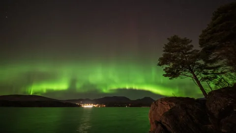Aurora Borealis with pine tree on rocky coast Stock Footage 266691227
