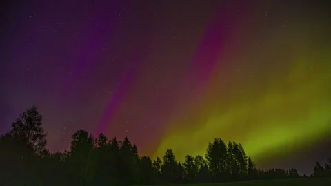 Aurora borealis time-lapse against alpine tree silhouettes at night Stock Footage 275519978
