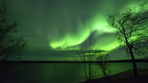 Aurora borealis with trees in strong wind Stock Footage 250292044