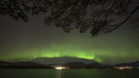 Aurora Borealis under tree branches of pine tree Stock Footage 266692618