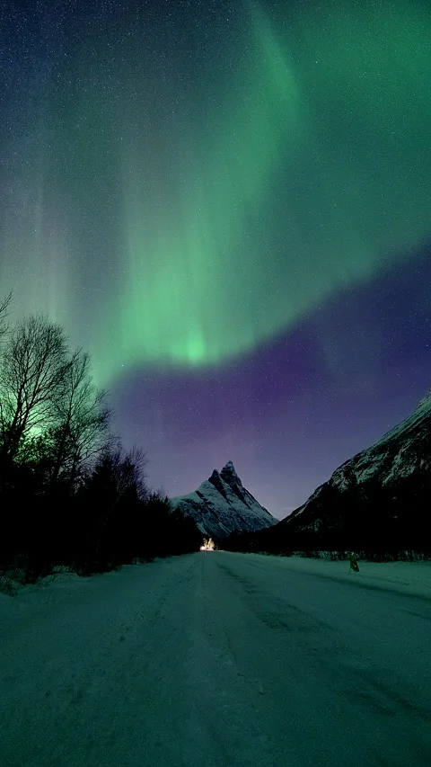 Aurora Borealis Vertical Timelapse. Northern Lights dancing on Night Sky Stock Footage 328817309