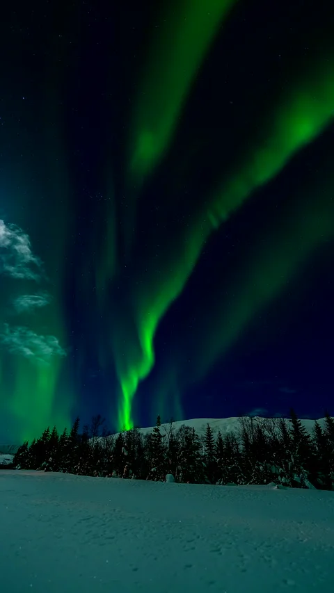Aurora Borealis Vertical Timelapse, Winter Forest and Northern Landscape Stock Footage 345840376